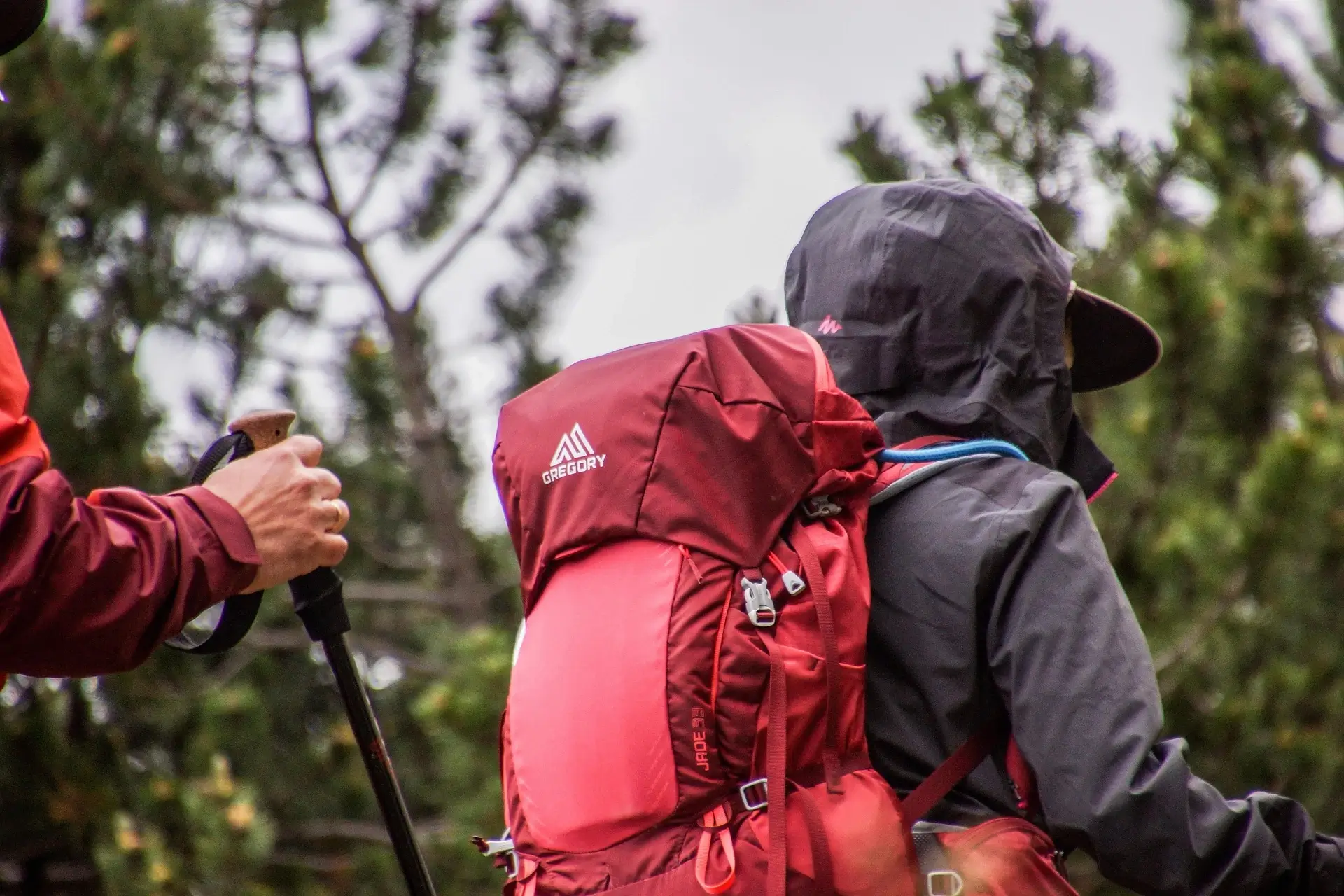 backpack-2.webp